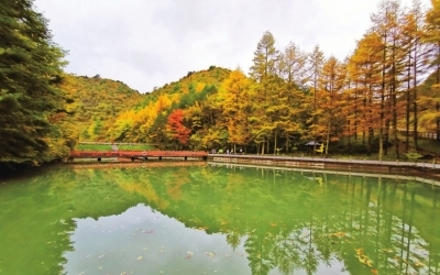 朝天区多彩曾家山图片